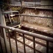 ヒメ日記 2026/04/02 00:46 投稿 浅見怜 五十路マダム 新潟店(カサブランカグループ)