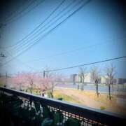 ヒメ日記 2026/04/03 11:04 投稿 浅見怜 五十路マダム 新潟店(カサブランカグループ)