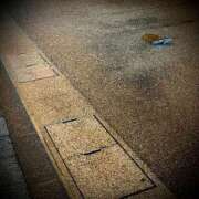 ヒメ日記 2026/04/07 23:48 投稿 浅見怜 五十路マダム 新潟店(カサブランカグループ)