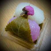 ヒメ日記 2026/04/11 00:16 投稿 浅見怜 五十路マダム 新潟店(カサブランカグループ)