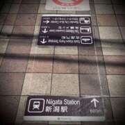 ヒメ日記 2026/04/17 03:46 投稿 浅見怜 五十路マダム 新潟店(カサブランカグループ)