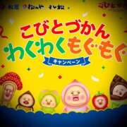 ヒメ日記 2026/04/17 05:46 投稿 浅見怜 五十路マダム 新潟店(カサブランカグループ)