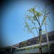 ヒメ日記 2026/05/18 22:56 投稿 浅見怜 五十路マダム 新潟店(カサブランカグループ)