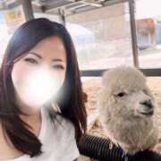 ヒメ日記 2025/07/12 06:00 投稿 Machi Katsuragi ELEGANT－エレガント－