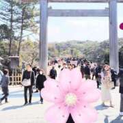 ヒメ日記 2025/05/22 08:21 投稿 このは 即アポ奥さん ～津・松阪店～