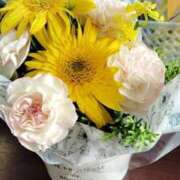 ヒメ日記 2025/07/11 12:44 投稿 このは 即アポ奥さん ～津・松阪店～