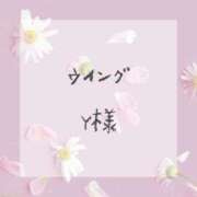 ヒメ日記 2024/07/11 13:02 投稿 はな 人妻㊙︎倶楽部