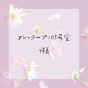 ヒメ日記 2024/09/01 15:42 投稿 はな 人妻㊙︎倶楽部