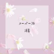 ヒメ日記 2025/01/11 00:22 投稿 はな 人妻㊙︎倶楽部