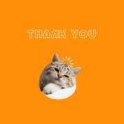 ヒメ日記 2025/01/11 00:32 投稿 はな 人妻㊙︎倶楽部