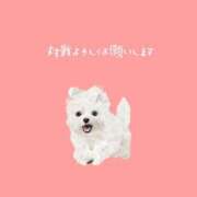 ヒメ日記 2025/01/11 16:52 投稿 はな 人妻㊙︎倶楽部