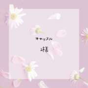 ヒメ日記 2025/02/21 00:02 投稿 はな 人妻㊙︎倶楽部