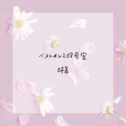 ヒメ日記 2025/02/22 09:52 投稿 はな 人妻㊙︎倶楽部