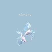 ヒメ日記 2025/03/02 15:02 投稿 はな 人妻㊙︎倶楽部