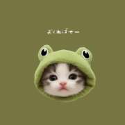 ヒメ日記 2025/03/03 16:52 投稿 はな 人妻㊙︎倶楽部