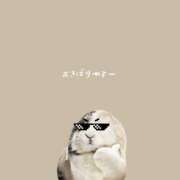 ヒメ日記 2025/03/09 21:02 投稿 はな 人妻㊙︎倶楽部