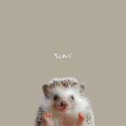 ヒメ日記 2025/03/10 14:22 投稿 はな 人妻㊙︎倶楽部