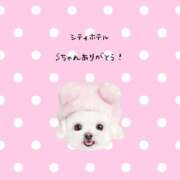 ヒメ日記 2025/04/03 12:23 投稿 はな 人妻㊙︎倶楽部