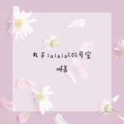 ヒメ日記 2025/04/05 12:04 投稿 はな 人妻㊙︎倶楽部