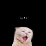 ヒメ日記 2025/04/09 04:12 投稿 はな 人妻㊙︎倶楽部