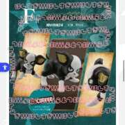 ヒメ日記 2025/05/30 23:12 投稿 はな 人妻㊙︎倶楽部