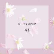 ヒメ日記 2025/06/29 14:22 投稿 はな 人妻㊙︎倶楽部