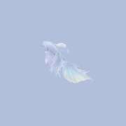 ヒメ日記 2025/07/09 16:42 投稿 はな 人妻㊙︎倶楽部