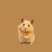 ヒメ日記 2025/08/04 00:32 投稿 はな 人妻㊙︎倶楽部