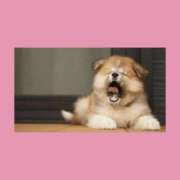 ヒメ日記 2026/01/11 15:20 投稿 はな 人妻㊙︎倶楽部