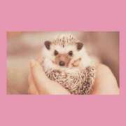 ヒメ日記 2026/01/21 18:30 投稿 はな 人妻㊙︎倶楽部