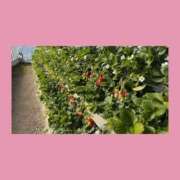 ヒメ日記 2026/02/02 23:20 投稿 はな 人妻㊙︎倶楽部