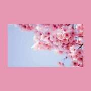 ヒメ日記 2026/02/04 02:20 投稿 はな 人妻㊙︎倶楽部