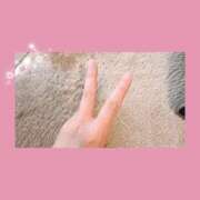 ヒメ日記 2026/04/03 12:50 投稿 はな 人妻㊙︎倶楽部