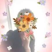 ヒメ日記 2024/12/29 10:14 投稿 白川純恋 五十路マダム愛されたい熟女たち岡山店（カサブランカグループ）