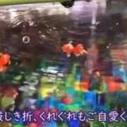 ヒメ日記 2026/07/31 11:22 投稿 白川純恋 五十路マダム愛されたい熟女たち岡山店（カサブランカグループ）