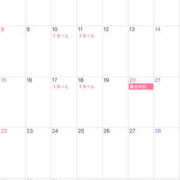 ヒメ日記 2026/02/20 19:01 投稿 りせ ビギナーズ和歌山