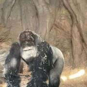 ヒメ日記 2024/12/27 21:27 投稿 こはる 五反田人妻ヒットパレード（シンデレラグループ）