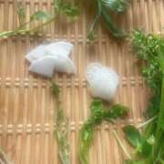 ヒメ日記 2025/01/09 18:33 投稿 こはる 五反田人妻ヒットパレード（シンデレラグループ）