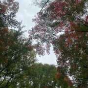 ヒメ日記 2025/11/15 14:01 投稿 こはる 五反田人妻ヒットパレード（シンデレラグループ）