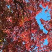 こはる こはるです 五反田人妻ヒットパレード（シンデレラグループ）