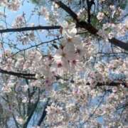 ヒメ日記 2026/03/29 17:02 投稿 こはる 五反田人妻ヒットパレード（シンデレラグループ）