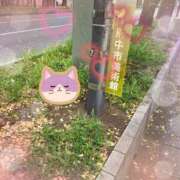 ヒメ日記 2025/08/18 15:02 投稿 りんか 府中ダービー