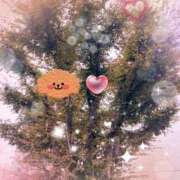 ヒメ日記 2025/11/06 15:23 投稿 りんか 府中ダービー