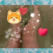 ヒメ日記 2026/01/28 11:13 投稿 りんか 府中ダービー