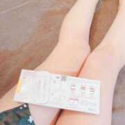 ヒメ日記 2025/02/17 07:54 投稿 こはる 石庭