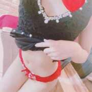 ヒメ日記 2025/03/03 07:20 投稿 こはる 石庭