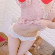 ヒメ日記 2025/03/08 09:51 投稿 こはる 石庭