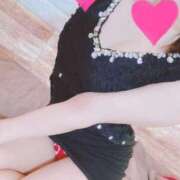 ヒメ日記 2025/03/21 09:50 投稿 こはる 石庭