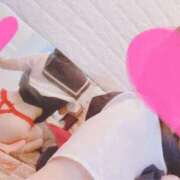 ヒメ日記 2025/05/01 10:05 投稿 こはる 石庭