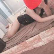 ヒメ日記 2025/05/21 10:05 投稿 こはる 石庭